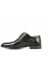 AMBIORIX HEMING_Ceranil brown