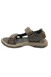 TEVA M_Langdon - 1015149_WAL _Langdon