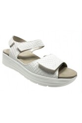 TEVA Tanza LOL - 1093489_LOL_Tanza_K
