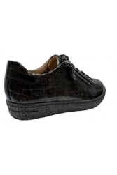 HARTJES Wijdte H_Boogie - 162.1956/11_02.53 Wijdte H