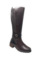 Q FIT SHOES Nola Strech - 4237.10.001