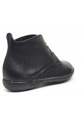 LOINT`S NATURAL - 68172-0834