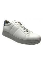 HARTJES Wijdte H_Boogie - 162.1950/11_02.42 Wijdte H