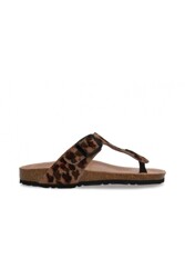 DEVELAB leopard - 48022-058