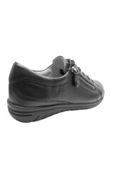 Rockport CH1975 Bruin