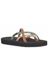 TEVA WDM - 4266_WDM_Tirra