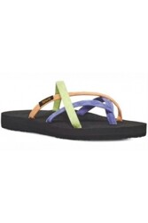 TEVA LEML - 4266_LEML_Tirra