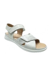BERKELMANS ZULU - 241BELT271_ZULU_Reptile Beige
