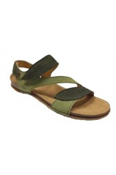 El Naturalista Panglao - Panglao_5810S_Liken_Kaki