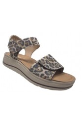 HARTJES Woogie wijdte H_Leopard - 132.2002/40_52.00 Wijdte H