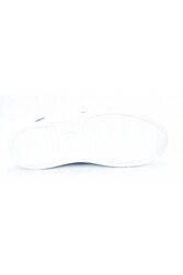 PIGGY PROOF Borstel Clean and protect - borstel Piggy Proof