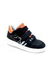 Footnotes 97.017 0085-4300 Donker Bruin