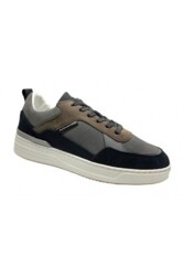 Promed 540111 38 Bruin